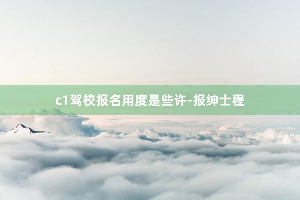 c1驾校报名用度是些许-报绅士程