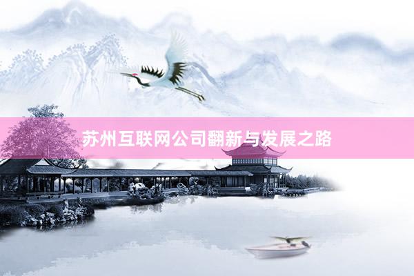苏州互联网公司翻新与发展之路